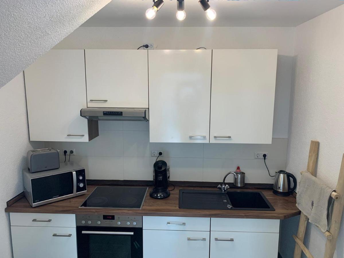 Delux Ferienwohnung Kunstgalerie Und Ilmradweg Kranichfeld Dış mekan fotoğraf